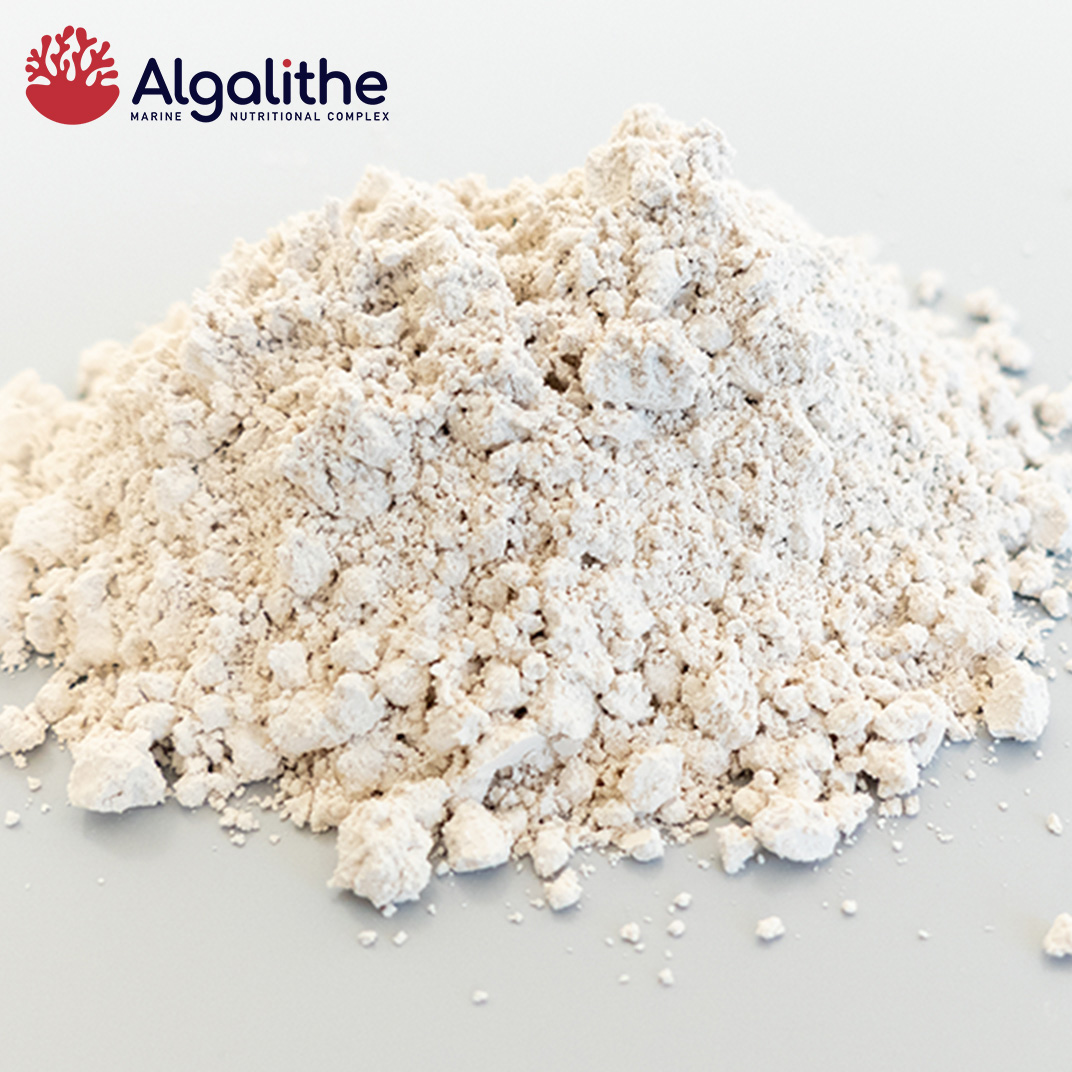 Algalithe® Source de Calcium Naturel