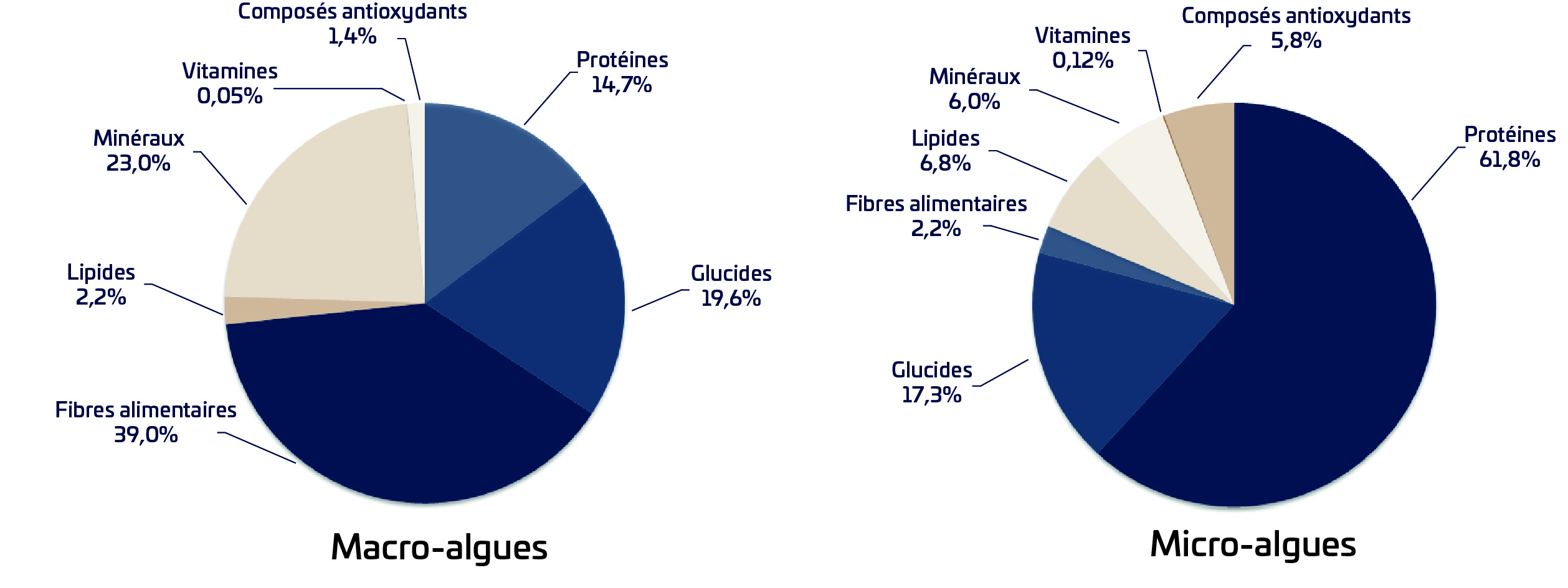 Représentation graphique de la composition nutritionnelle des macro-algues et des micro-algues