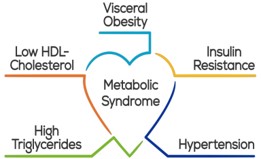 Figure summarizing the different metabolic disorders