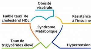 Schéma résumant les différents troubles métaboliques