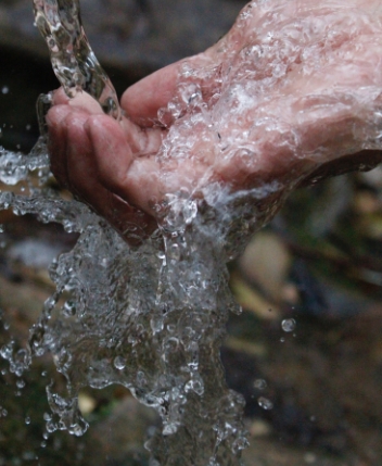 Les solutions environnementales pour traiter l'eau